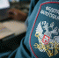 До 15 декабря представители малого и среднего бизнеса могут подать заявку в ФНС на компенсацию за период нерабочих дней - Газета Хиславичские известия