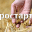 Стартовал прием заявок на предоставление в 2022 году грантов «Агростартап» - Газета Хиславичские известия