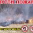 Не допусти лесного пожара! - Хиславичский район