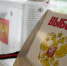 В России подвели итоги Единого дня голосования - Газета Хиславичские известия
