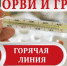 «Горячая линия» Роспотребнадзора по профилактике гриппа и ОРВИ - Газета Хиславичские известия
