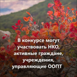 1 апреля стартовал первый конкурс экологических
и природоохранных проектов