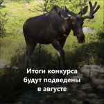 1 апреля стартовал первый конкурс экологических
и природоохранных проектов