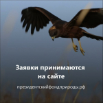 1 апреля стартовал первый конкурс экологических
и природоохранных проектов