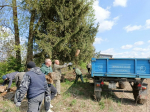 Хиславичане приняли участие во Всероссийском субботнике