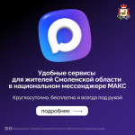 Напоминаем о полезных сервисах для смолян в мессенджере МАКС